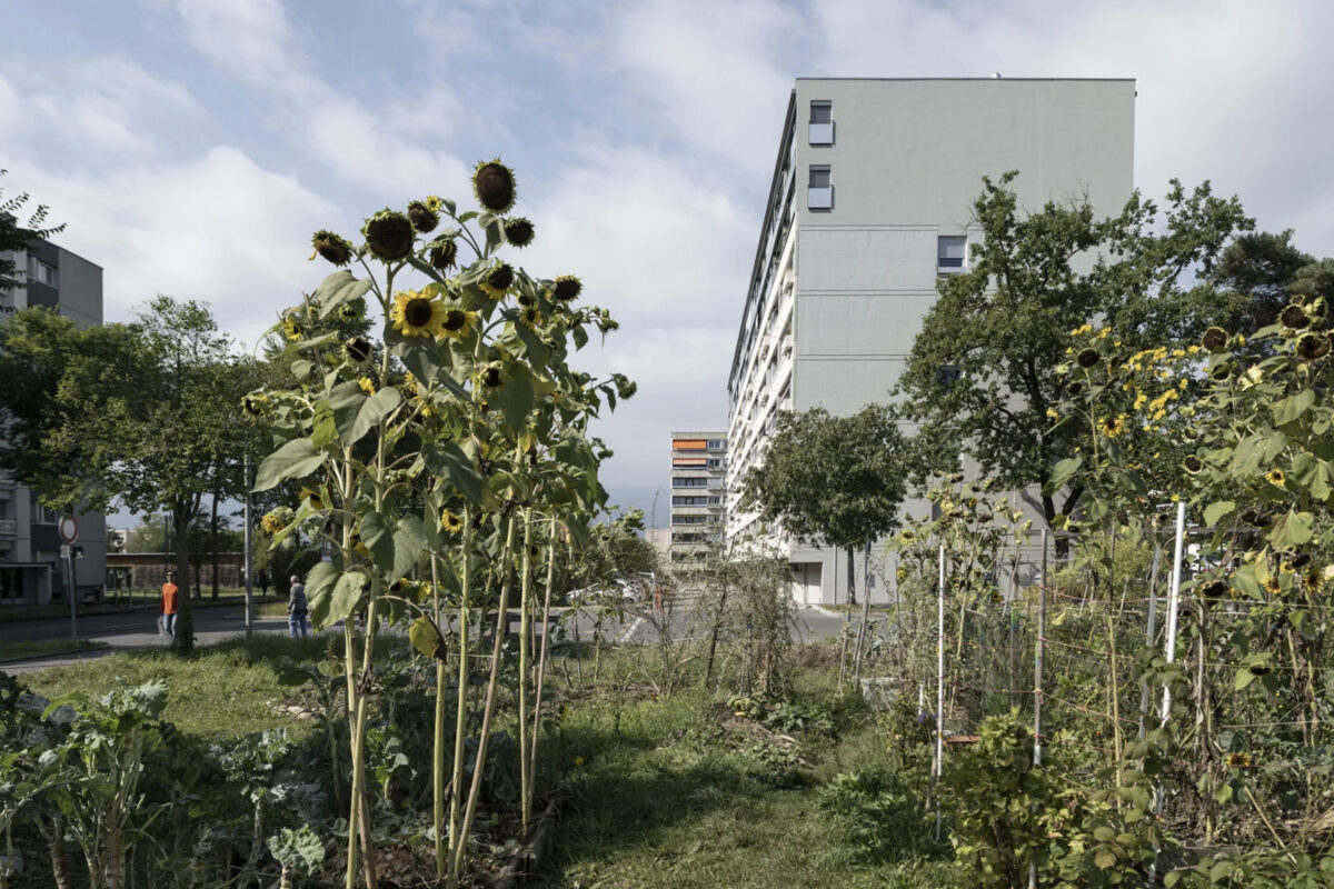 Die Genfer Gemeinde Meyrin erhält den Wakkerpreis 2022