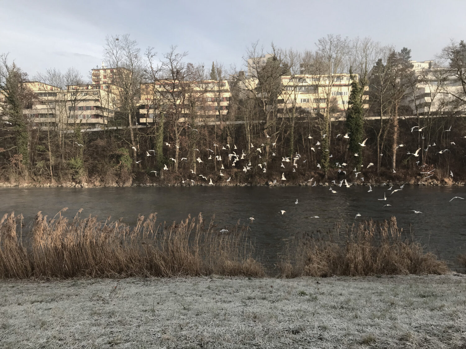 Stadtplanung im grossen Massstab - Zürich und der Kommunale Richtplan